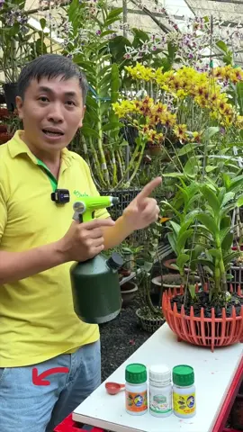 Tưới phân đúng cách, Bước 1 của Combo8 có trong giỏ hàng nhé cả nhà #combo8 #melan #cachtronglan 