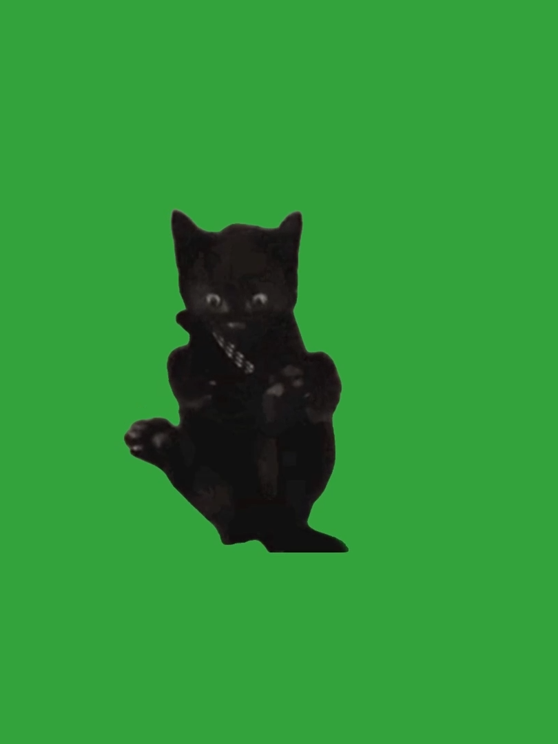 OMG TOES !! 😆😆 Cute Kitty Cat Bean Toes Animated | Green Screen #greenscreen #greenscreenvideo #greenscreentiktok #omg #kitty #kittycats #kittycatsoftiktok #cute #cutecats #cutecatsoftiktok #cutecatsofinstagram #cat #catsoftiktok #catsofinstagram #blackcat #blackcats #blackcatsoftiktok #blackcatsofinstagram #beantoes #kitten #kittens #kittensoftiktok #kittensofinstagram #chromakey #chromakeyeffect #funny #funnyvideos #funnycat #animated #animatedtiktok #animatedvideo #graphics #projects #videomakers