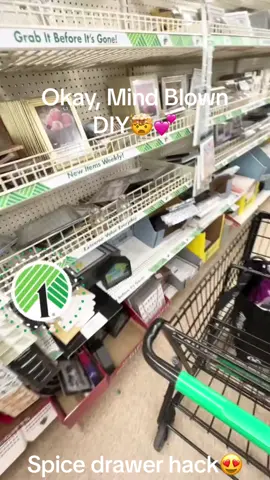 So satisfying organizing spice drawer for practically NOTHING💕🤩 Thanks for the idea 👏👏 @alifebetterorganized #dollartreediy #dollartreeorganization #spicedrawerorganizer #spicedrawerorganizing #dollartree #homediyproject #viralditiktok #drawerdiy 