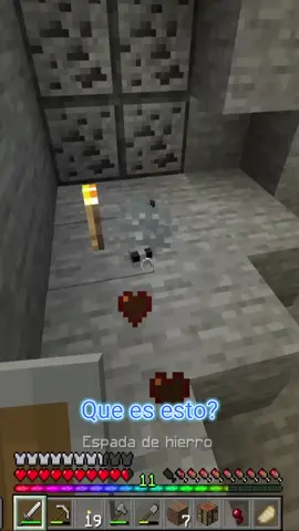 PORQUE HAY LEPISMAS ACA?? 😲 . . . . . . . . . #Minecraft #lepismas #videojuegos #minecraftmemes #minar #picodediamante  #cortosdeminecraft #gamer
