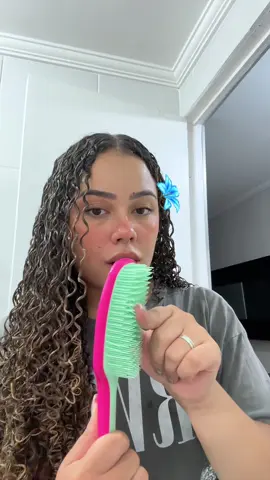 O dupe perfeito🫶🏼 #escovadecabelo #cabelocacheado #ricca #transicaocapilar #cronogramacapilar #cabelocacheado #cachos #cacheadas #fy #fyp #vaiprofycaramba 