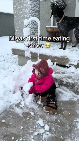 Miyas first time eating snow 😂 @AlixCasey  #alixandstephen#parents#mom#family#Love#kc#cute#toddler 