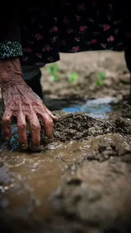 Ârif olanın kelamı gayriden gelmez VelîPes “Enel Hak” nice desin kişi Mansûr olmadanBir muhal sevdaya düşmüş rüz û ŞEM’Î müdâmHakka vâsıl olmak ister halka menfûr olmadan•Sonumuz birgün ölümdür. #ozocan46offical