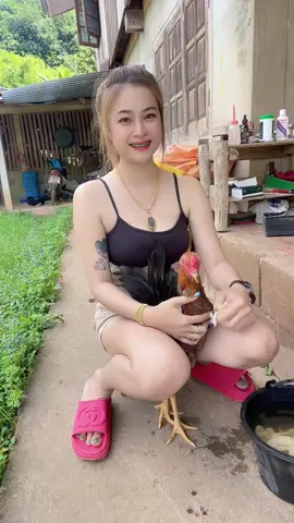 BOTOH CANTIK #pakhoy #ayamviral #fyp #fypシ #ayampama #pecintaayampama #ayamviraltiktok #ayamganoi #ayampakhoy #pakhoydrumband 