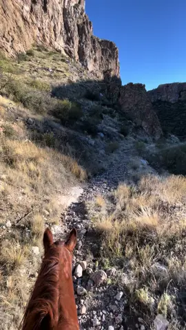 The way those mountains glow though. I’ve ridden past this trail junction so many times and just never taken it because a friend said it was a dead end. Spoiler: it was not 🙌  #arizona #superstitionmountains #superstitions #mountainglow #reddeadredemption2 #horses#horseriding #greengoldandblues 