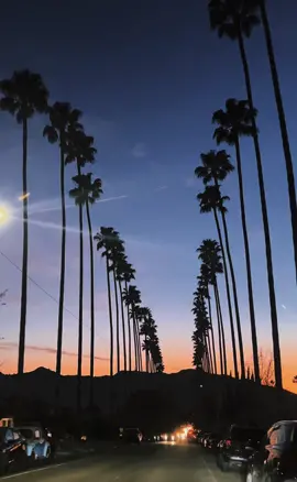 🌆⭐️ #sunset #sunsetla #fouryou #foryoupage #la #lanight 