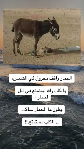 #العلم_نجاة✍️📚 