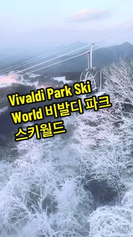 Vivaldi Park Ski World 비발디 파크 스키월드  262, Hanchigol-gil, Hongcheon-gun, Gangwon-do 강원도 홍천군 서면 한치골길 262 #skiresorts #snowinkorea #tiktoktraveling #travelkorea #เทรนวันนี้ #เทรน #เที่ยวเกาหลีใต้ #มาร์กพาเที่ยวเกาหลี #สปีดสโลว์ 