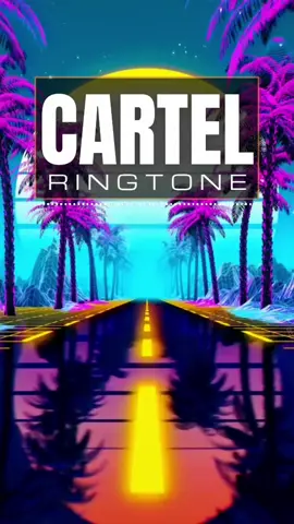 Cartel Ringtone (Link in Bio) #whisnusantika #hbrp #keebo #deejay #dj #indonesia #dance #electronic #ringtone #marimba 
