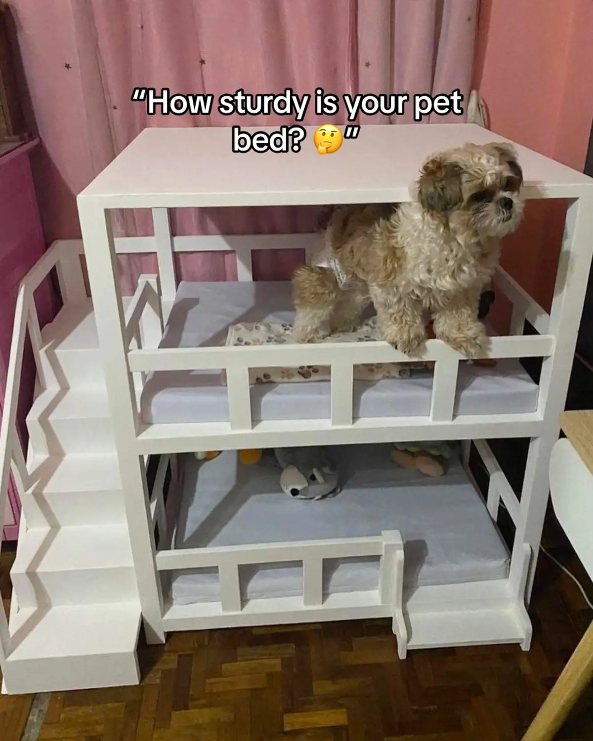 Tested and proven! Our pet furniture is made with architectural-grade materials and can hold human weight 😉 #thepetprojectph #petfurniture #petfriendlyfurniture #petsph #dogsph #petbed 