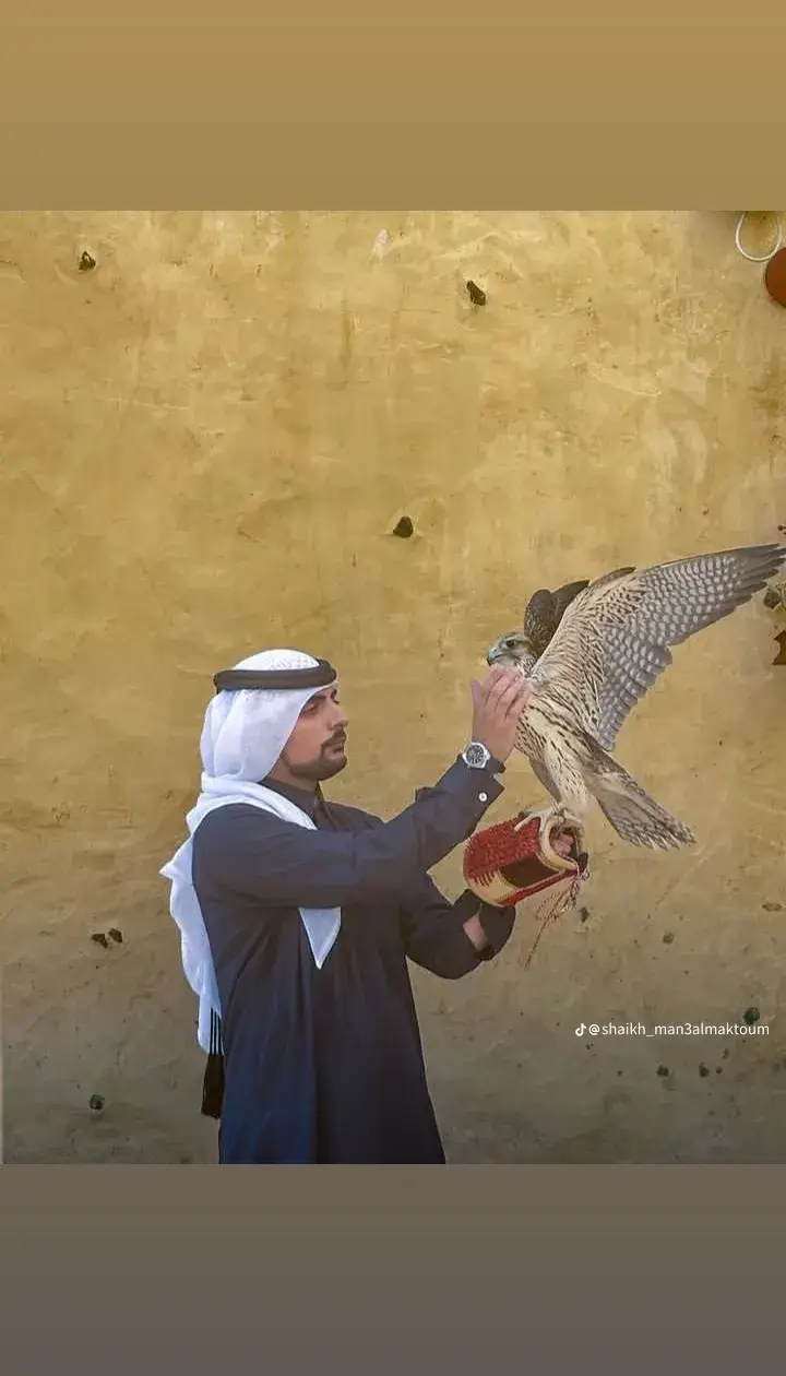 #🇦🇪🇦🇪🇦🇪🇦🇪🇦🇪🇦🇪🇦🇪🇦🇪🇦🇪🇦🇪🇦🇪🙋🌹🌹🌹🌹🌹 