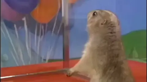 every day is the day for a dramatic chipmunk #day_8 #tiktok #tiktokviral #meme #dramatic_chipmunk #daily