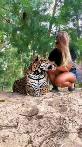 Some Tank kisses ❤️🐆