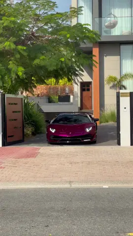 HAPPY NEW YEAR 2024 Dubai’s Only Lamborghini Aventador SVJ Roadster In Viola Bast Shade 💜 #lamborghini #AventadorSVJ #cars #super #luxury  #fastcars #india #trending #viralvideo #foryoupage 