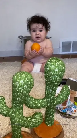 The Cactus game scares the baby 😭🍼 TRY NOT TO LAUGH 😂🤣#funny #cute #baby #videos #babies #bunnies #bunny #laugh #funnyvideo #funnyvideos #fyp #foryou #usa 