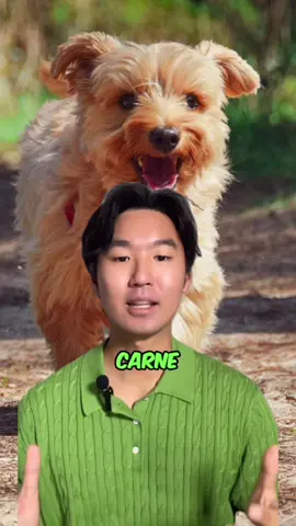 Qué opinas tú? . . . . . . #corea#coreano#perro#animal#bienestar#carne 