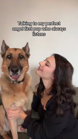 The second one is always the troublemaker 😅 #fyp #dogsoftiktok 