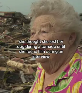 she had thought she lost her dog from the tornado but he was somehow found during the interview 🥹 #tornado #wholesome 