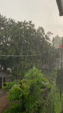 Ada kenangan apa dengan hujan di sore itu??#vibeshujan #hujansore #fypシ #storywa #galaubrutal #storytime #xyzbca #vibesgalau #viewbelakangkontrakan 