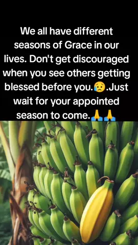 #goodvibesonly🥰 #tiktoklovers #quotefortheday🔥 #foryou #foryoupage #tiktok #fypシ゚viral #fypシ #bobiwineuganda✊✊✊✊✊✊ #trending #pastorbugingo #tiktokuganda🇺🇬🇺🇬🇺🇬 #tiktokkenya #viralvideo #viral #alienskin #fullfigure #typ #tiktoknews #tiktoklovers😘 