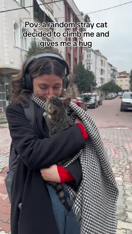 Cat distribution system actually works 😂🫶🏼🫶🏼#fyp #foryou #fypシ #explore #keşfet #catsoftiktok #cat #catslovers #straycat 
