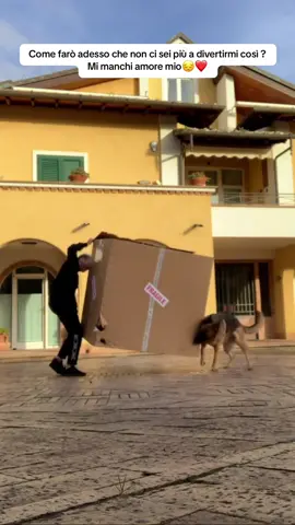 L’unica cosa positiva è che sono pieno di momenti impressi con video e foto… ma la tua assenza non potrà mai essere colmata💔 una parte di me è volata via con te 😔 ti amo tanto piccola mia🌈