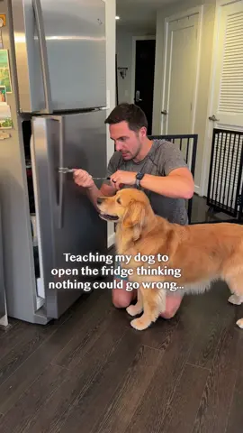 I made a BIG dog training mistake 🧀 #tbt 