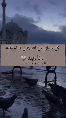 #كل_ماياتي_من_الله_جميل #فا_الحمدالله_دئماً_وأبداً🙂🙂🙂 #اقتباسات_عبارات_خواطر🖤🦋❤️ #عباراتكم_الفخمه📿📌 #مجرد________ذووووووق🎶🎵💞 #فتوها_تاغات_واكسبلور_فديتكن💚 #حالات_واتس #ستوريات_متنوعه #تصميمي🎬 #زوقي😌 #مزاجيه🖤 #متابعة_فضلا_ليس_امرا_صعبا_ #عملو_حركة_الاكسبلور_فولو #متابعةمردودة_قلب_حركة_الاكسبلور #سوريا_تركيا_العراق_السعودية_الكويت 