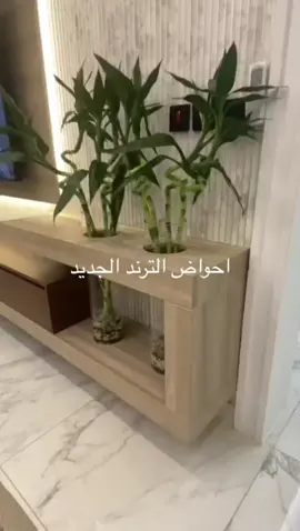 #احواض_الترند#مكه#foryou  #meme##ترند 