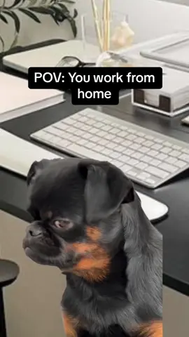 The temptation is real 👀 #workmemes #officelife #remoteworker #wfhlifestyle #wfh #hybridworking #temptationisreal #workingathome #9to5problems #workplaceproblems #corporatelifebelike #corporatehumour #corporatelifestyle #workingfrombed 