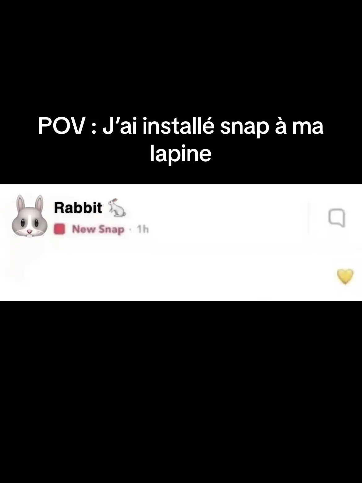 1 min de retard c’est inadmissible !😂##pourtoi##lapin