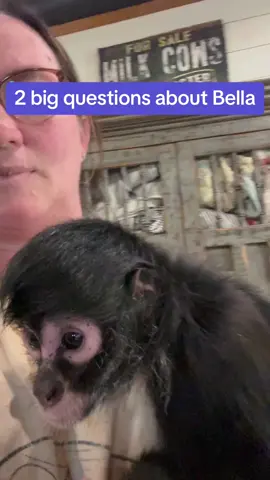 Questions about Bella. Can she go outside “free” (no cage) like ours do? Will her parents get to visit? 😊 #fyp #monkeys