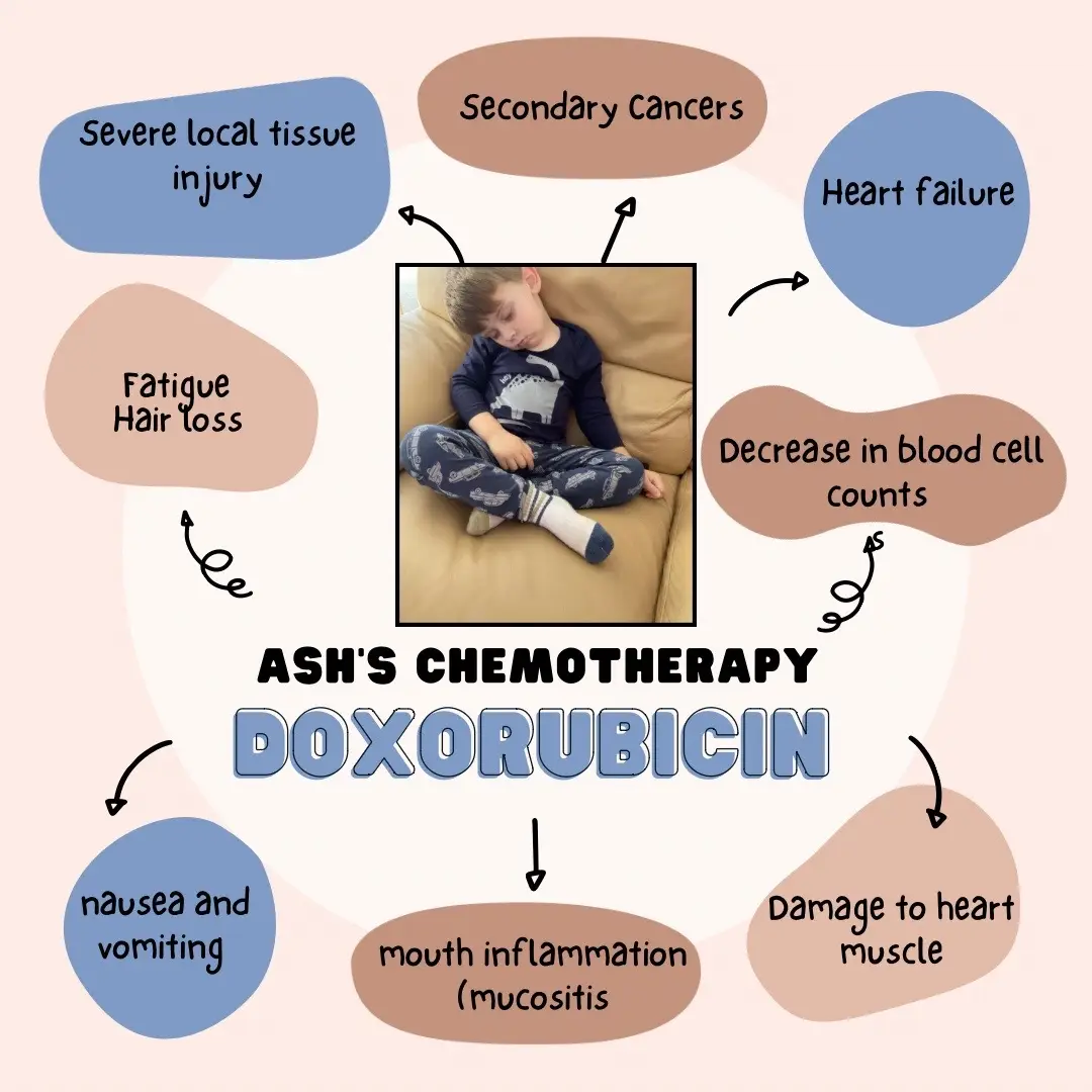 Doxorubicin -Ash had this the first year of treatment, this is the chemotherapy that made him lose his hair. The chemo is bright red. These are some rare and common side effects . 💛Given IV. #Doxorubicin  Vincristine- Ash had this alot in his first year of treatment and has had it every 3 months (IV) since November 2022. These are some rare and common side effects. 💛 #vincristine  Mercaptopurine -Ash has this chemotherapy every day and has it every day since November 2022.  These are some of the common and rare side affects of this chemotherapy 💛💛 #mercaptopurine  Methotrexate - Ash has this every Tuesday, below are some of the side effects from this chemotherapy. Some are rare and some are common 💛💛 #methotrexate  #strongforash #foryou #fyp #childcancerawareness #chemotherapy #chemo #chemotherapysideeffects #chemojourney #chemosideeffects 