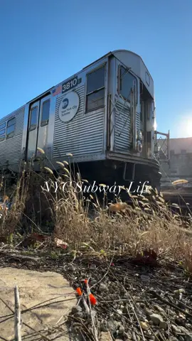 Budd R32 Subway Cars 3810, 3811, 3891 & 3520 Awaiting to be Scrapped. They Will be Transferred to The 65th St Rail Yard, Then to NJ For It’s Final Fate.   #NYCSubway #NYC #MTA #NewYorkCitySubway #LIRR #SubwayTrain #NYCTransit You can now buy me a coffee: https://bmc.link/NYCSubwayLife 