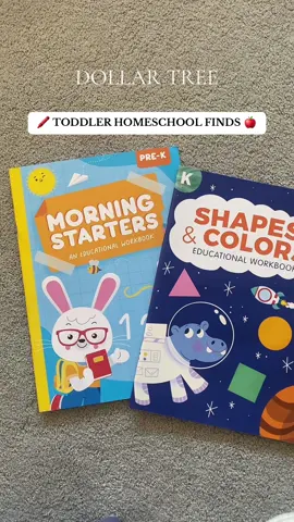literally sprint to #dollartree for all your #toddlerhomeschool finds 💵🌳 #toddlersoftiktok #toddlermom #sahm #momtok #toddlertok #teachingtoddlers #mominfluencer #fyp #sahmlife #dollartreefinds #toddlerhomeschoolmom #athomepreschool #diyhomeschool #toddleractivities #toddlerlearningactivities #learnbyplay 