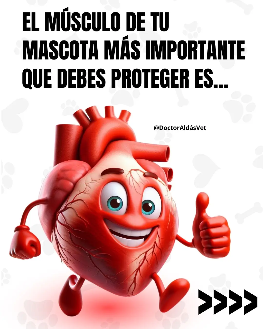 ⚡️Energía Vital: Un corazón saludable significa mascotas llenas de vitalidad y energía.  👴🏻Longevidad: Cuidar el corazón contribuye a una vida más larga y feliz para tus fieles compañeros 🌈 Mejora de la Calidad de Vida: Un sistema cardiovascular fuerte promueve una vida plena y activa ❤️ Menor Riesgo de Enfermedades: La prevención cardiovascular reduce el riesgo de enfermedades cardíacas y otros problemas de salud 🏃🏻‍♀️Mayor Resistencia: Un corazón bien cuidado mejora la resistencia, ideal para juegos y actividades diarias 🎾💪Bienestar Emocional: La salud del corazón está vinculada al bienestar emocional de tus mascotas 😌🐾Menos Estrés: Un sistema cardiovascular fuerte ayuda a reducir el estrés, manteniendo a tus peludos más tranquilos 🫶🏼Afecto Incondicional: Un corazón sano permite que tus mascotas brinden su amor de manera activa y constante 👉🏼 La pregunta es: ¿Qué estás dispuesta/o a hacer?