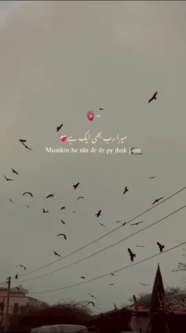 Jumma Mubarak ❤️#pagalestics17 #burhan_tv #aesthetic #poetry #jummamubarak 