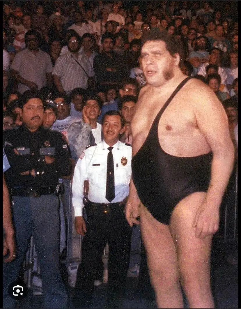 Andre the Giant in a photo with an average person size, he was 7 feet 4 inches tall and 520 pounds. Photo two Andre The Giant Standing Face to Face in frount of Robert Wadlow the tallest person ever. Robert Wadlow was 8 feet 11 inches tall.  