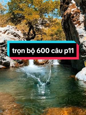 ôn tập 600 câu lý thuyết #hoclaixe #hocmeolaixe #ontap600caulythuyet #thaytuandaymeo600cau 