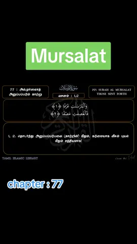 #mursalat #chapter_77 #surah #quransurah #audiobook #foryou #status #qurantamil #qurantamiltranslation #tamilvideo #tamiltiktok 