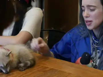 adorable <3 @BILLIE EILISH  #billieeilish #billie #billieeilishvideos 