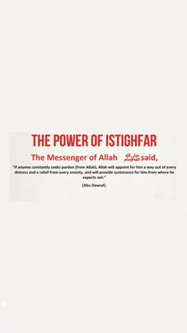 #islam #muslim #quran #dua #quranic #islamic #islamic_video #4u #fypシ #4you #foryoupage #quran_alkarim #foryourpage 