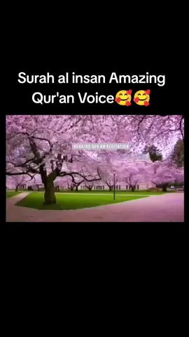 Surah al insan amazing QUR AN VOICE 😍❤❤ SUBSCRIBE  #forMOREvideo https://youtu.be/qwLuGORiK4U #Quran #2020quran #AllahummaAmeen #readingQuran #Allah #AllahNames #AllahSWT #AllAloneTogether #Alhamdulillah2020 #youtube #relaxingquran #qatar #Allahumma #alhamdulillahforeverything #forMOREvideo 