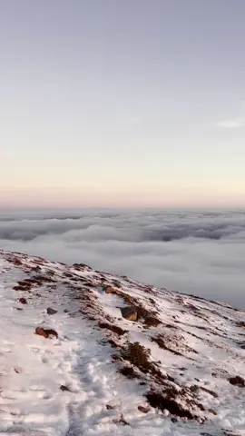 Pretty sunrise views 🫶🏼 #sunrise #Scotland #cloudinversions 