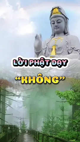 #adidaphat #phatphapnhiemmau #nammoadidaphat #phatgiao #phatphap #loiphatday #phatphapvobien #phatphapvadoisong #ynghiacuocsong #trending #xuhuong #fyp 