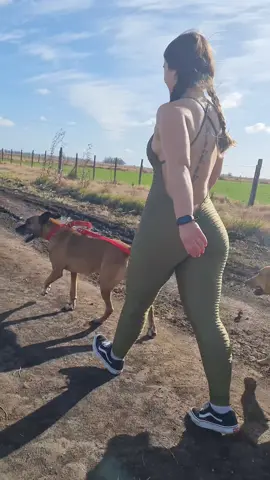 hora de pasear al perro 🐕  #parati #mascotas #perros #pasear #campo #naturaleza #mardelplata 