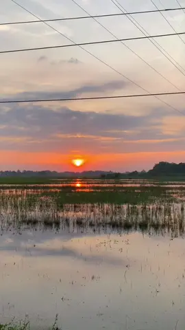 Senja itu kamuu, INDAH #senja #sunset #jawapride #sidoarjotiktok #fyppppppppppppppppppppppp #xyzbca 