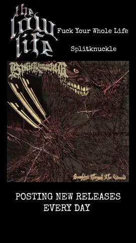 Fuck Your Whole Life - Splitknuckle #hardcore #deathmetal #hxc #mosh #breakdowns 