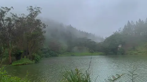 Wawathanna 🌬🌬🌬☁️☁️🌫🌫🌳🌳🍃#CapCut #TikTokVlog #photography #videography #fypシ #wildanimals #wildlife #natural #trendingvideo #travel #timelapse #srilanka 