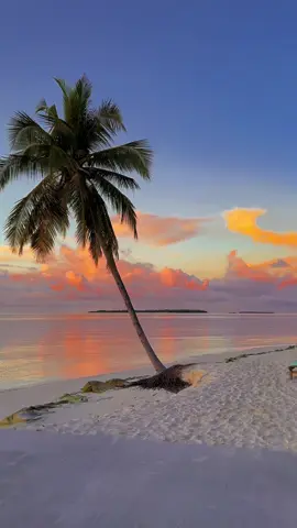Dream of Maldives😍🌅🌊🌴 #sunset#fyp#maldives#maldivessunset#dream#ocean#foryoupage#viral#bucketlist#island#adventures#trending#tiktoktravel#xyzbca 